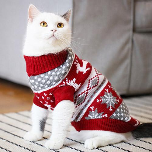 АлиЭкспресс для животных: костюмы для кошек на Новый год