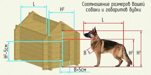 Размеры будки