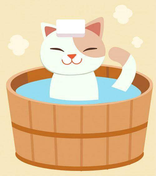 Купание абиссинского котенка