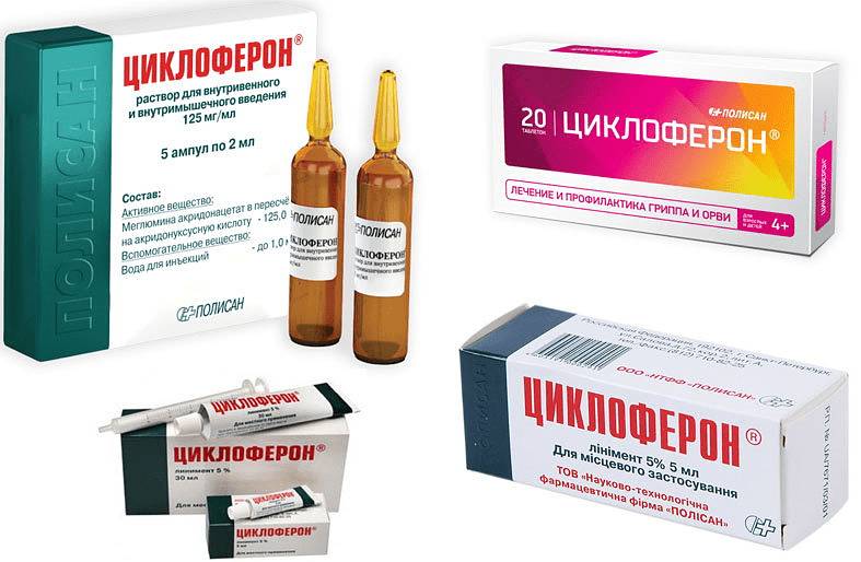 Циклоферон для кошек - состав и свойства