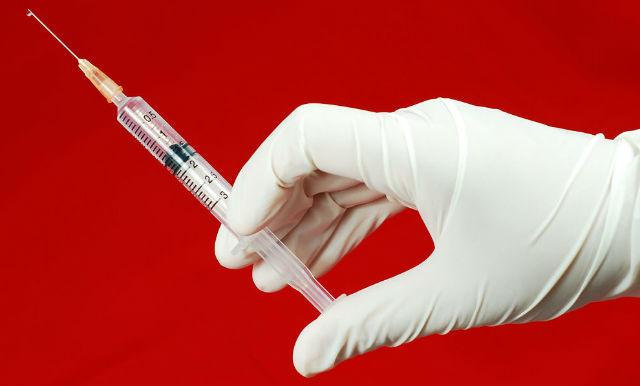 Вакцинация тойтерьеров – дополнительные прививки