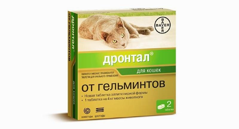 Дронтал против глистов у кошек