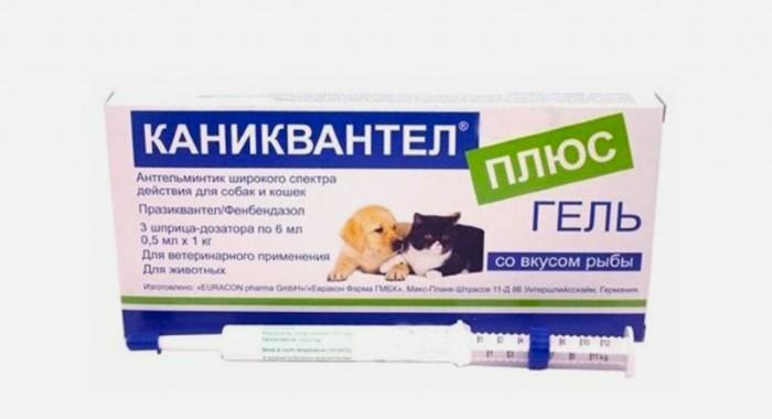 Каниквантел Плюс - гель
