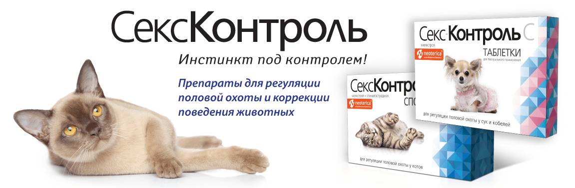 СексКонтроль для кошек