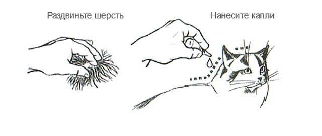 Стронгхолд для кошек - инструкция